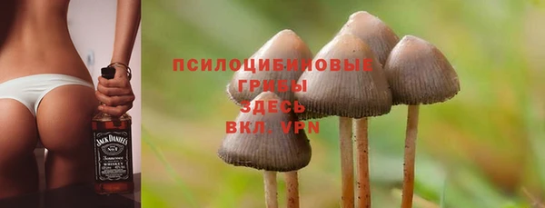 альфа пвп Надым