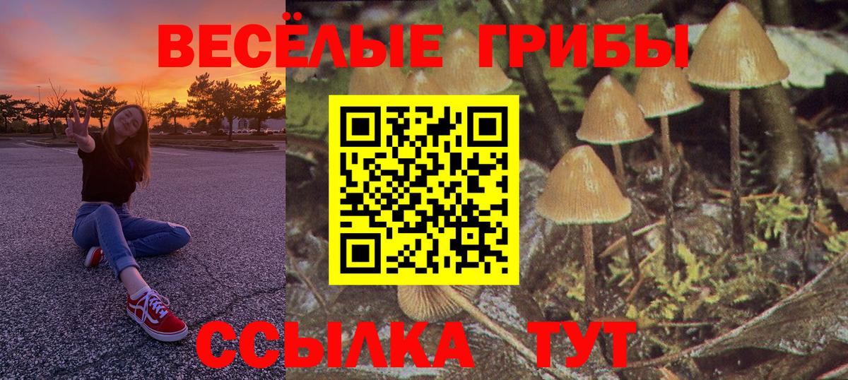 Псилоцибиновые грибы мицелий Соликамск