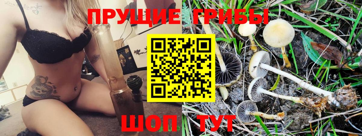где можно купить наркотик  Соликамск  Галлюциногенные грибы ЛСД 