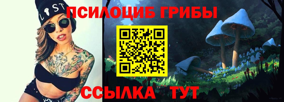 Соликамск  Псилоцибиновые грибы прущие грибы  Вход с VPN  Псилоцибиновые грибы Psilocybe 